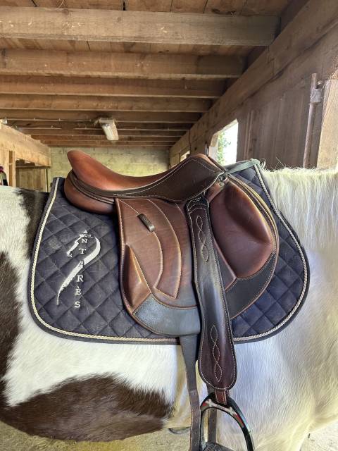 Selle Antares monoquartier