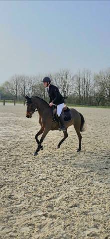 Ponette de sport - 5 ans - d - pfs
