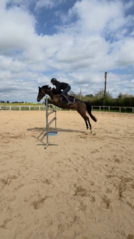 Ponette de sport - 5 ans - d - pfs