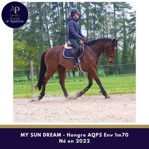 Aqps 4 ans env 1m70