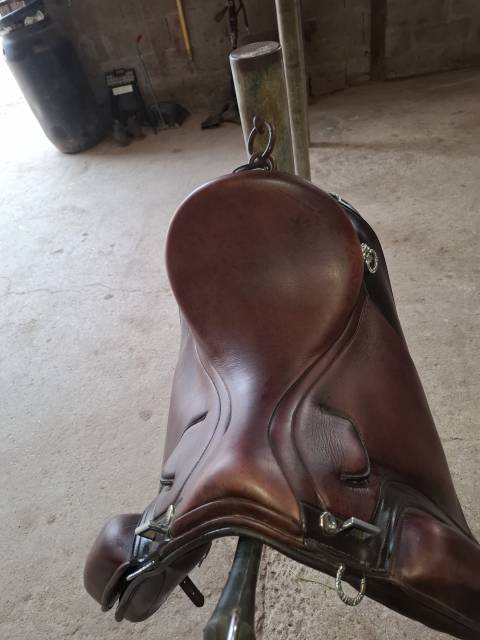 Selle de dressage portugaise