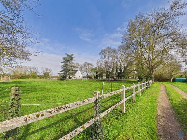 Propriété équestre en exclu chez cimm immobilier