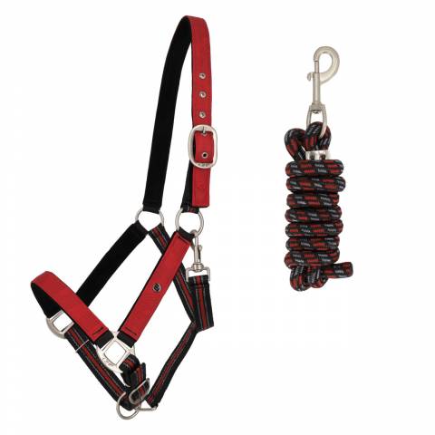 Licol rembourr&eacute; avec longe SS26 - QHP