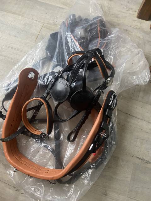 Garnissage complet pour chevaux de trait 