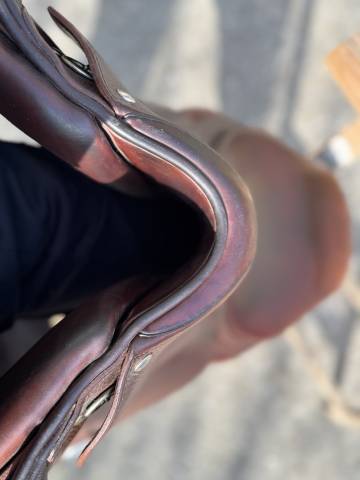 Selle Meyer 16,5" - 2018 - Excellent &eacute;tat