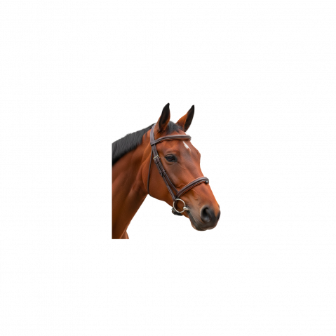 Bridon bombé 1/2 rond Vagabond - Canter - Cuir confortable