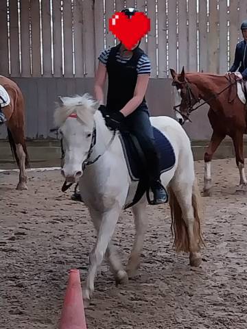 � adorable ponette à vendre – idéale famille / loisir ✨