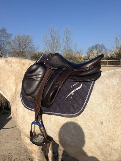 Selle rebelle (forestier)