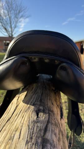 Selle mixte Equestro 17,5