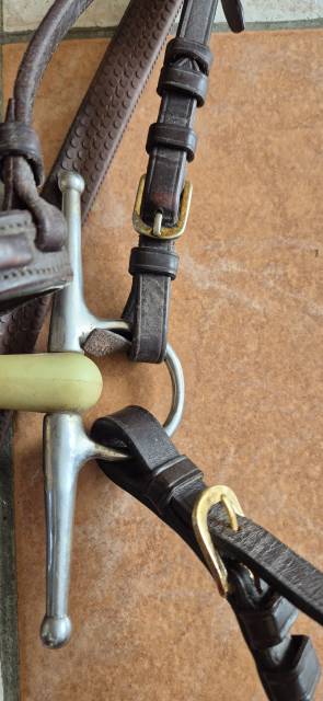 Bridon complet avec mors aiguille