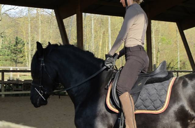 Pantalon full seat femme taille haute  T 38 