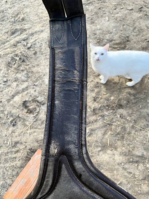 Bavette cheval 130 cm