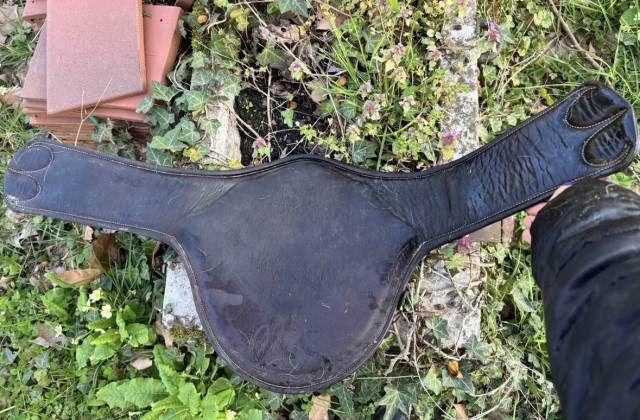 Sangle bavette devoucoux 