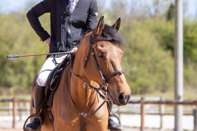 à vendre 
