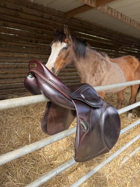 Selle amerigo pinerolo 17,5 