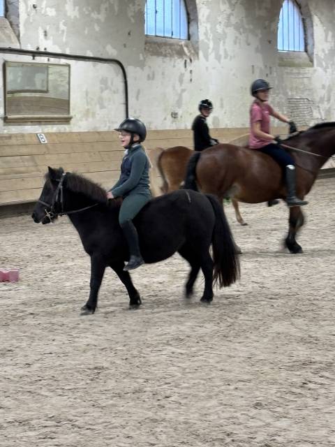 Bpjeps abbeville somme