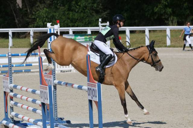 Jument akhal-teke 9 ans