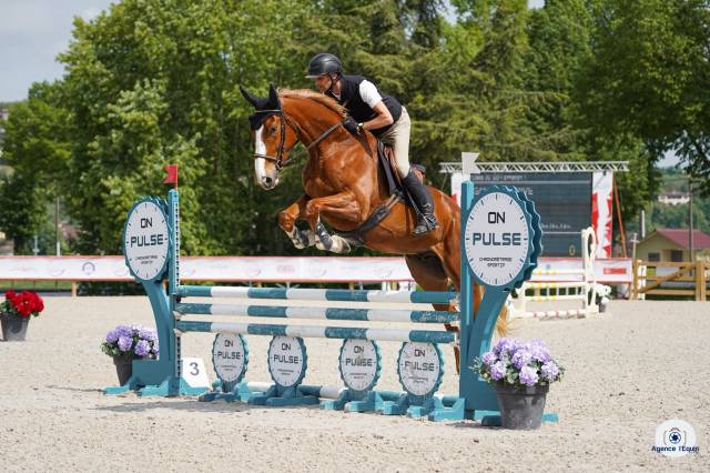 Hongre 4 ans sf par quabri de l'isle
