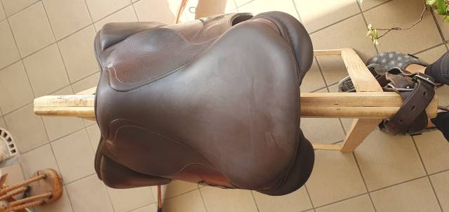 Selle&nbsp;neuve ANTARES OBSTACLE CONNEXTION GRAINE/17 pouce