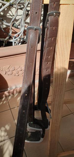 Selle&nbsp;neuve ANTARES OBSTACLE CONNEXTION GRAINE/17 pouce