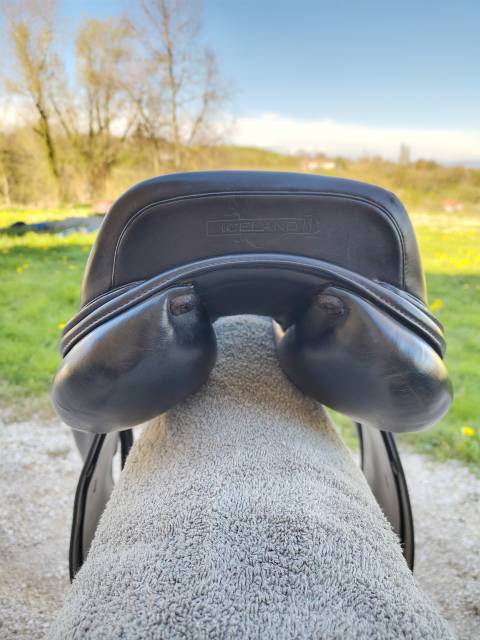 Selle Dressage Prestige 