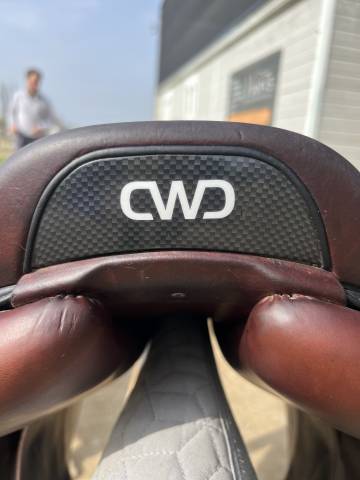 Selle CWD 2gs Se31