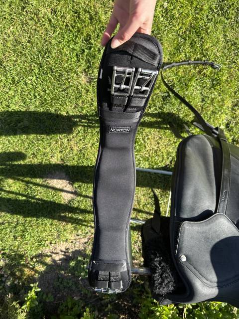 Selle de dressage wintec 17 pouces