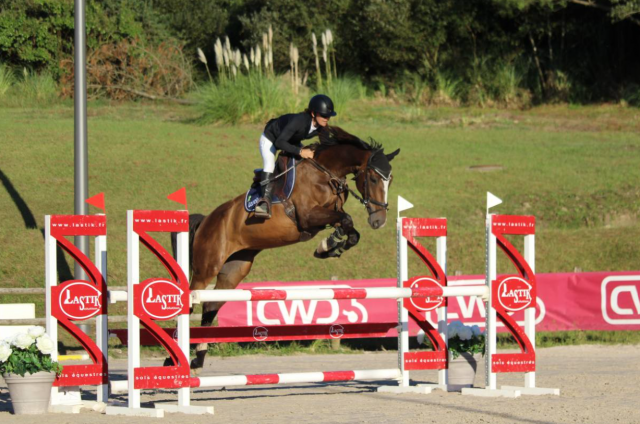 Jument 8 ans cso polyvalente