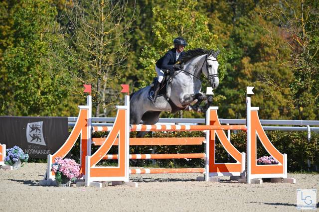 Hongre pour faire am1/elite