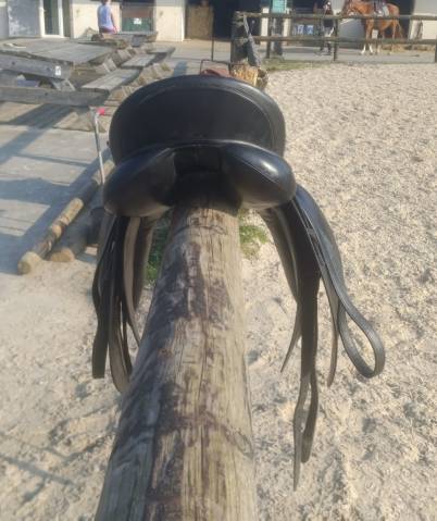 Selle de dressage Henri de rivel 