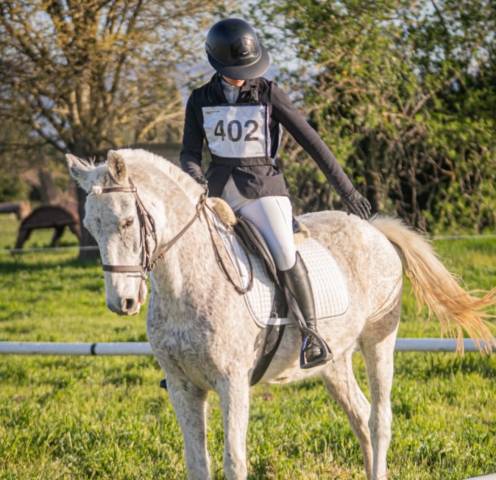 à vendre grand poney