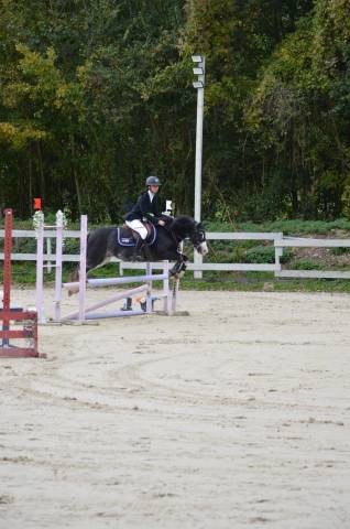 Poney onc selle 
