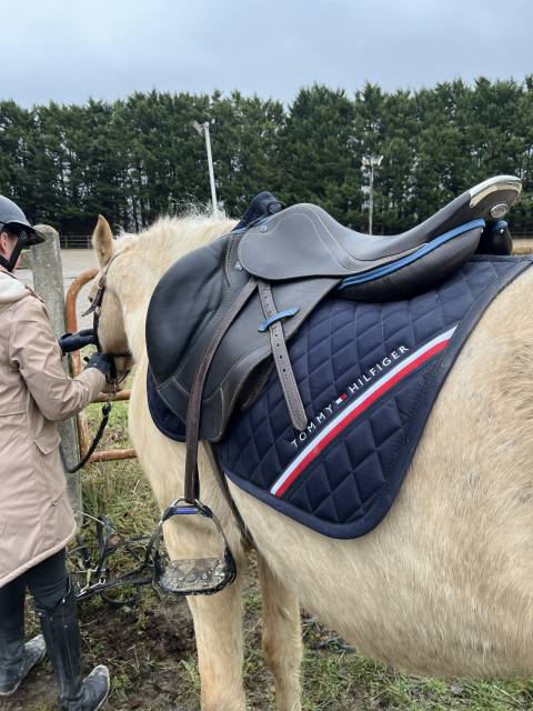 Selle CSO St&uuml;bben