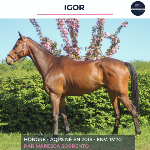 Igor - aqps - 8 ans