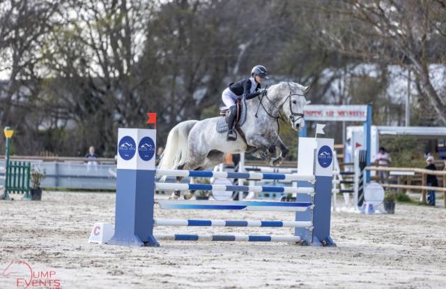 Super cheval de concours