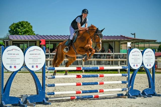 à vendre hongre sf 11 ans 