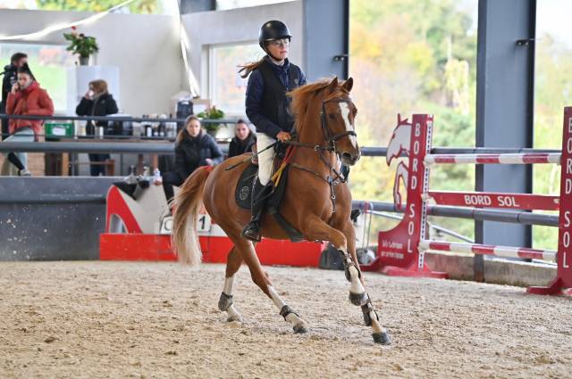 Vends poney d 1,47  prêt p2/p1 potentiel as