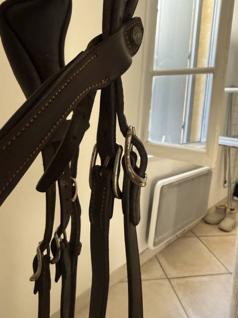 Filet Antares anatomique 