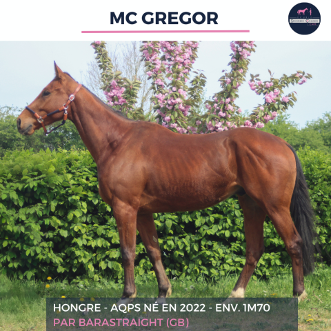 Mc gregor - aqps - 4 ans