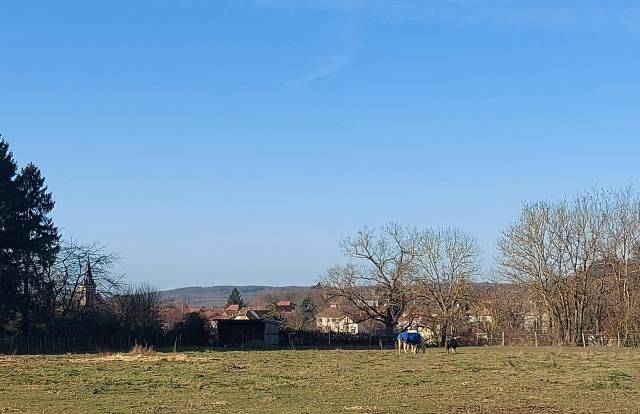 Propriété équestre isère à vendre