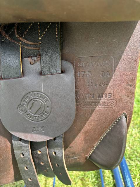 Selle Antares signature 