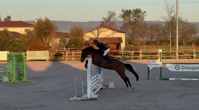 Jument 6 ans cce cso