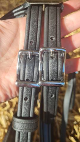 Bride Biothane Trotteur