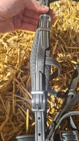 Bride Biothane Trotteur