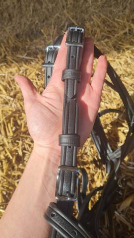 Bride Biothane Trotteur