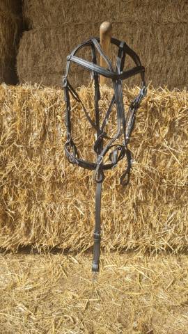 Bride Biothane Trotteur