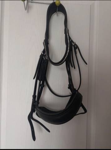 Bride de dressage + rênes 
