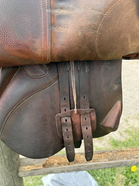 Selle Antares évolution 