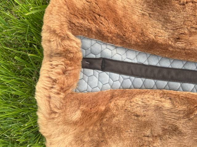 Amortisseur Mattes Dressage M