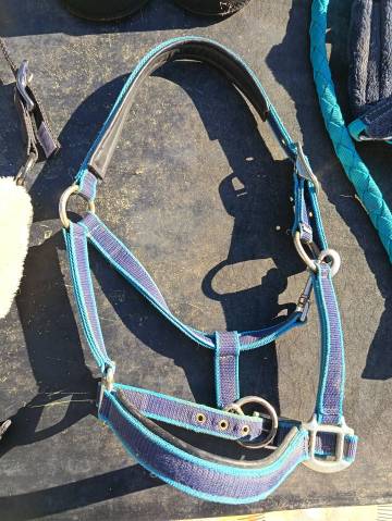 Mat&eacute;riel &eacute;quitation 